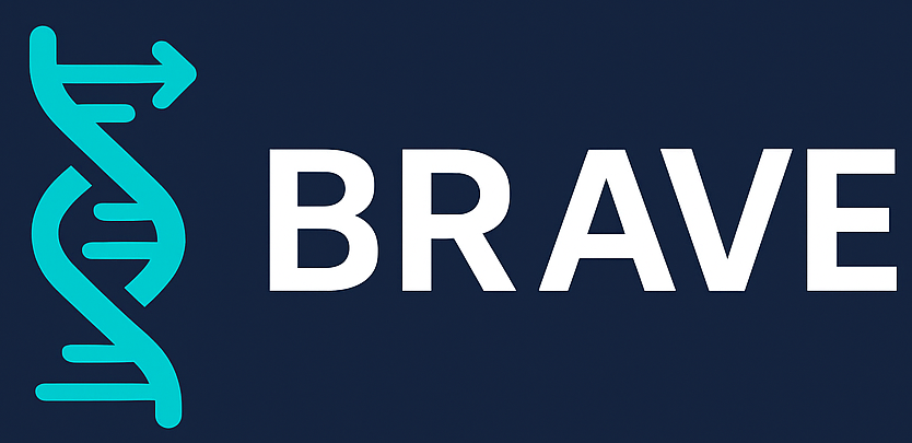 brave Logo